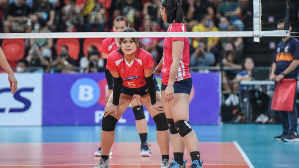 他的到来可 他的到来可