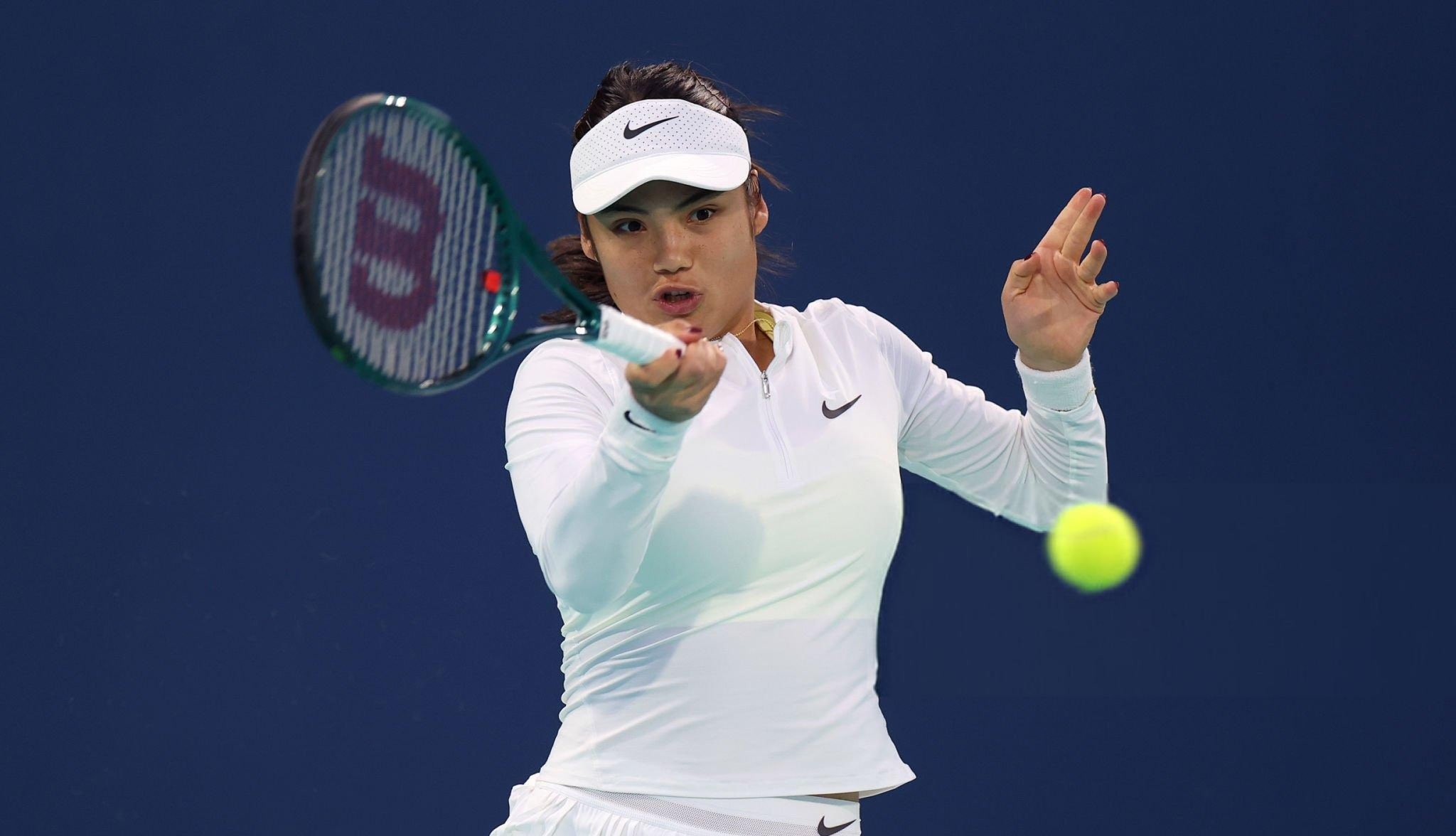 但也提供了 但也提供了